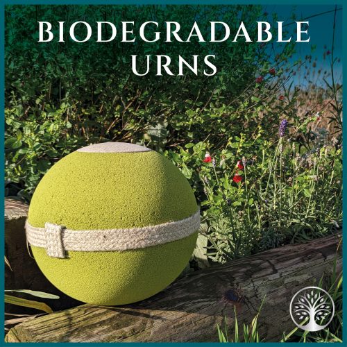 Biodegradable Urns