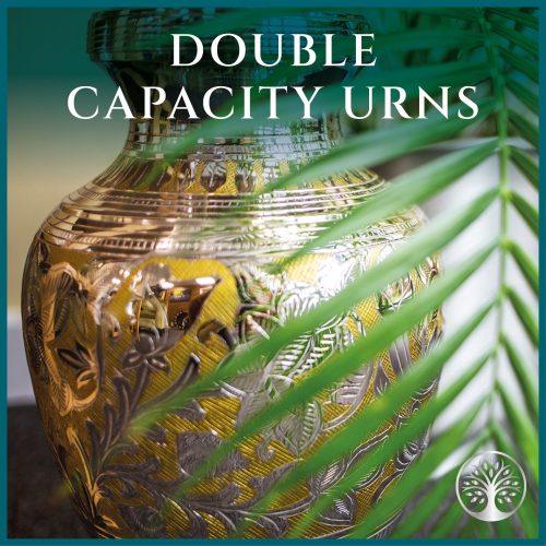 Double Capacity Urns