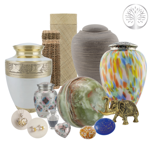 Variety Display Package - Large